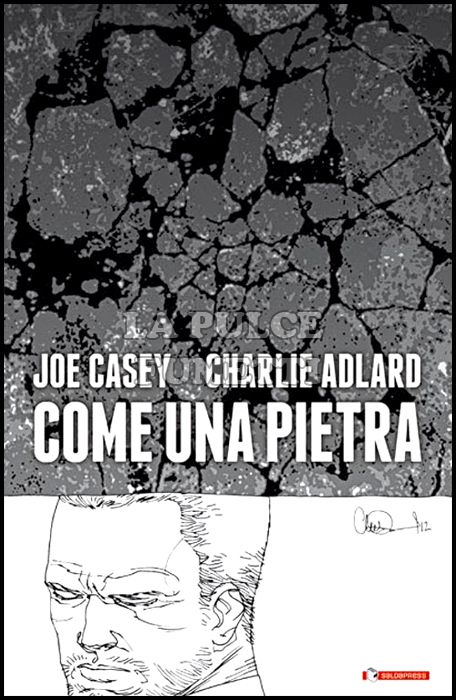 COME UNA PIETRA